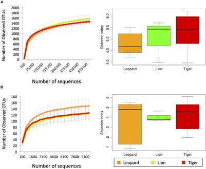 The Gene Catalog and Comparative Analysis of Gut Microbiome of Big Cats Provide New Insights on Panthera Species